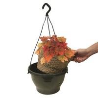 4 heuchera redstone falls hanging basket autumn inserts plastic