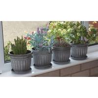 4 pack planters and saucers