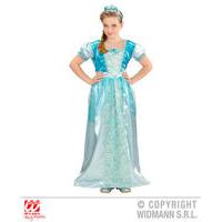 4 5 years blue girls snow princess costume