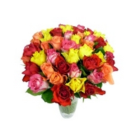 40 Assorted Petite Roses