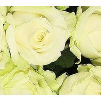 40 Luxury White Roses