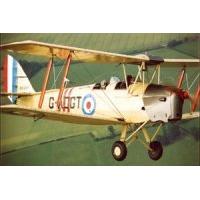 40 Minute Tiger Moth Flying Lesson