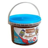 400g Tub Dried Mealworms Bird Food by Kingfisher