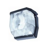 40w Induction Floodlight - DIA40W/G3