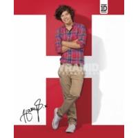 41 x 51cm One Direction Harry Mini Poster