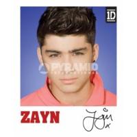 41 x 51cm One Direction Zayn Polaroid Mini Poster