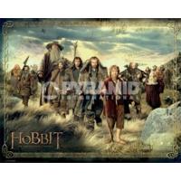 41 x 51cm The Hobbit The Company Mini Poster