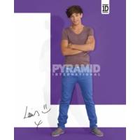 41 x 51cm One Direction Louis Mini Poster