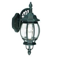 4175 Outdoor Classic Hanging Wall Lantern In Black Green