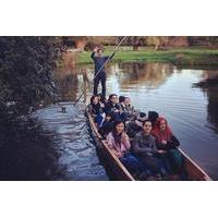 45 minute shared punting tour in cambridge