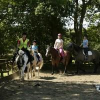 45 min family group horse riding lesson for a minimum of 4 riders sout ...