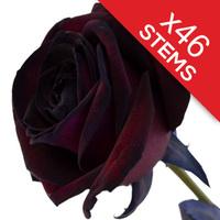 46 Black Roses