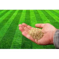 499 instead of 1999 for a large pack of shake and rake grass seed from ...