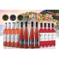 £49.99 instead of £106.53 (from San Jamon) for a tasting case of twelve bottles of Spanish rose wine  get summer sorted and save 53%