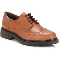 4ever Young Womens Tan Yale Leather Brogues women\'s Casual Shoes in brown