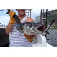 4h Half-Day Private Coastal Fishing