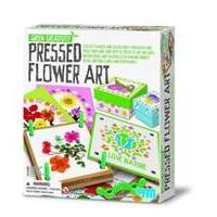 4M Green Creativity Pressed Flower Art