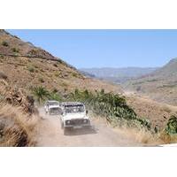 4x4 Safari + Camels - From Las P...