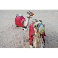 4x4 Dubai Desert Safari with Dune Bashing, Sandboarding, Camel Riding and BBQ Dinner