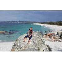 5-Day Tasmania Tour from Hobart Including Cradle Mountain, Tarkine Rainforest, Bay of Fires and Wineglass Bay