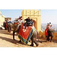 5-Night Private Rajasthan Tour from Delhi Including Jaipur, Jodhpur and Udaipur