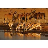 5-Day Exclusive Namibia Tour from Windhoek