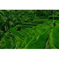 5-Day Bali Tour Including Day Trips and Water Sports