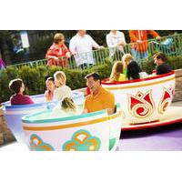 5-Day Disneyland Resort Ticket