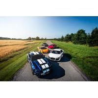 5-Hour Exotic Car Experience including Lunch