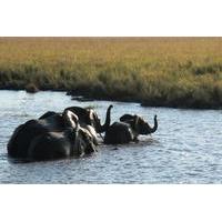 5-Night Tour of National Parks in Tanzania from Arusha