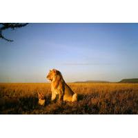 5-Day National Park Safari in Tanzania