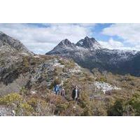 5-Day Tasmania West Coast Camping Tour: Hobart to Launceston Including Mount Field National Park, Tarkine and Cradle Mountain