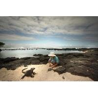 5-Day Darwin Footprints Tour