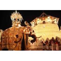 5 night kingdom of sri lanka tour
