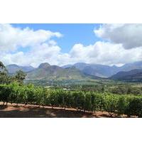 5-Day West Coast and Winelands Tour from Cape Town