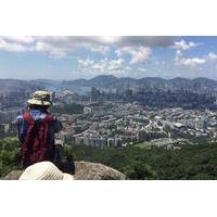 5-Hour Hiking Tour in The Green to Lion Rock in Hong Kong