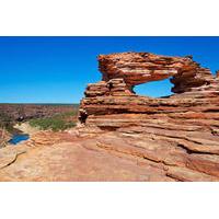5 night perth to exmouth tour including the pinnacles monkey mia and n ...
