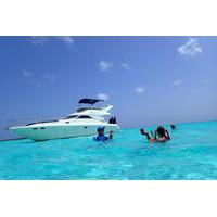 5 hour private luxury yacht snorkel tour with open bar