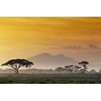 5-Day Panorama Route and Kruger Safari Tour from Johannesburg