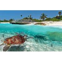 5 Days at the Aventura Mexicana with Included Day Excursions to Tulum and Xel-Ha