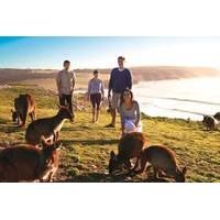 5-Day Adelaide and Kangaroo Island Tour Including Barossa Valley Wine Tasting