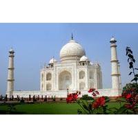 5-Nights Delhi, Jaipur, Ranthambore Tigers and Taj Mahal Private Tour