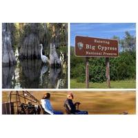 5 hour Everglades Tour with Miccosukee Airboat and Big Cypress National Preserve