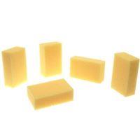 5 Pack Handy Sponges