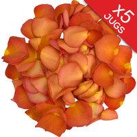 5 Jugs of Peach Rose Petals