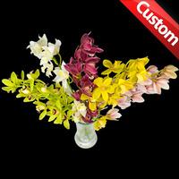 5 Classic Bespoke Cymbidium Orchids