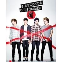 5 Seconds Of Summer Album Cover Mini Poster