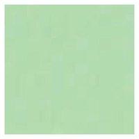 5 star office copier paper tinted 80gm a4 bright green 500 sheets