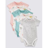 5 Pack Pure Cotton Bodysuits