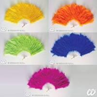 5 Assorted Colour Feather Fan